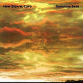 the album cover for New Zion Trio & Cyro Baptista - Sunshine Seas