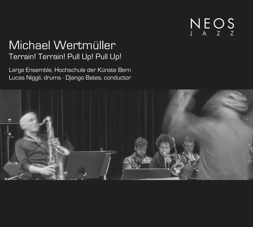 the album cover for Michael Wertmuller - Terrain Terrain Pull Up Pull Up