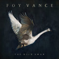 the album cover for Foy Vance - The Wild Swan [Vinyl]