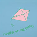 the album cover for Arthur Russell - Tower Of Meaning