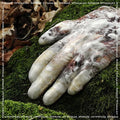 the album cover for Antwood - Virtuous.Scr