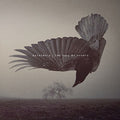 the album cover for Katatonia - Fall Of Hearts