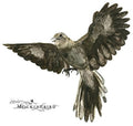 the album cover for John Zorn - Mockingbird