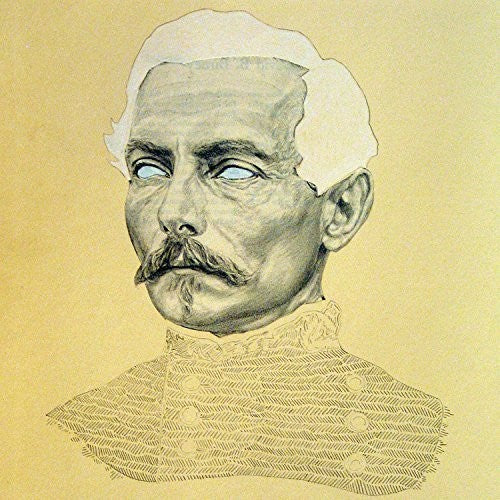 the album cover for Rogue Wave - Delusions of Grand Fur