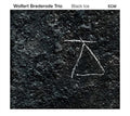 the album cover for Wolfert Brederode Trio - Black Ice