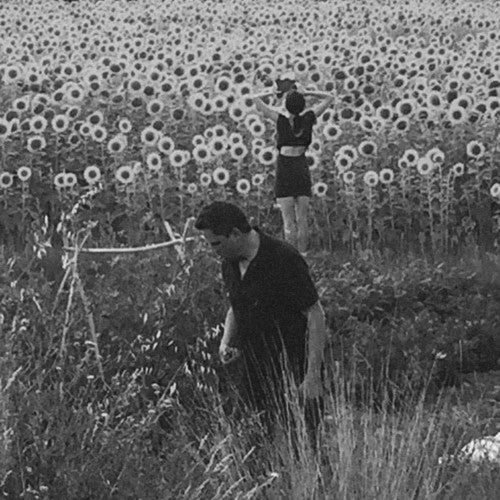 the album cover for Jesu / Sun Kil Moon - Jesu / Sun Kil Moon