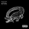 the album cover for Catfish And The Bottlemen - The Ride