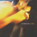 the album cover for Tiny Moving Parts - Celebrate [Vinyl]
