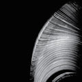 the album cover for Near The Parenthesis - Helical