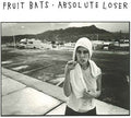 the album cover for Fruit Bats - Absolute Loser