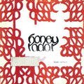 the album cover for Honey Radar - Blank Cartoon