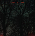 the album cover for Rhys Chatham - Pythagorean Dream