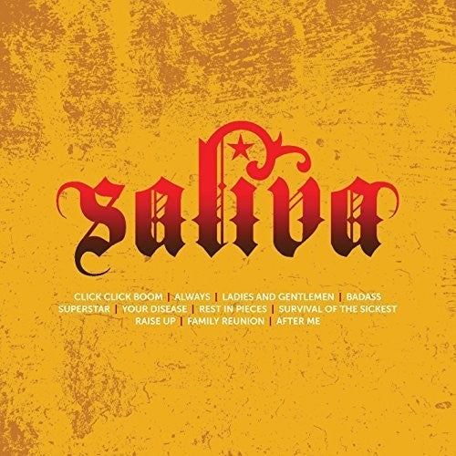 the album cover for Saliva - Icon