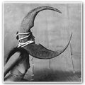 the album cover for Ghost Bath - Moonlover