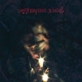 the album cover for Destroying Angel - Conversations With Their Holy Guardian Angels