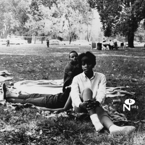 the album cover for Eccentric Soul Sitting In The Park / Various Uk - Eccentric Soul: Sitting In The Park