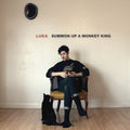 the album cover for Luka - Summon Up A Monkey King