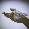 the album cover for Gregory Alan Isakov - With The Colorado Symphony
