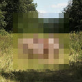 the album cover for The Hotelier - Goodness [Vinyl]