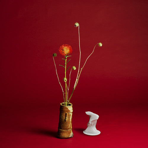 the album cover for Seiho - Collapse [Download Included]
