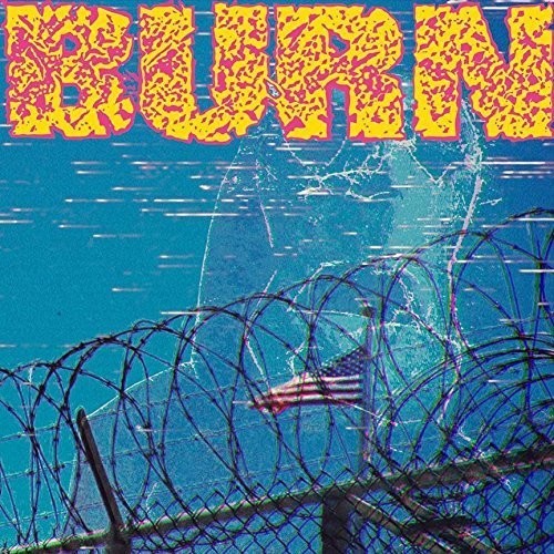 the album cover for Burn - ...From the Ashes [Vinyl Single]