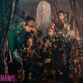 the album cover for Weaves - Weaves [Limited Edition Pink Vinyl]