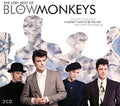 the album cover for Blow Monkeys - Best Of The Blow Monkeys