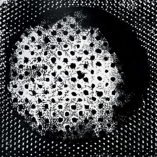 the album cover for Biosphere - Patashnik [Vinyl]