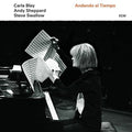 the album cover for Carla Bley / Swallow,Steve / Sheppard,Andy - Andando El Tiempo