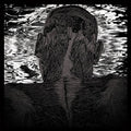 the album cover for Asher Levitas - Lit Harness