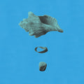 the album cover for Lewis Pesacov - Lewis Pesacov: The Edge Of Forever [LP]