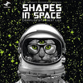 the album cover for Various Artists - Shapes In Space [2 LP]
