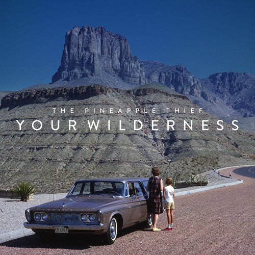 the album cover for The Pineapple Thief - Your Wilderness [Vinyl]