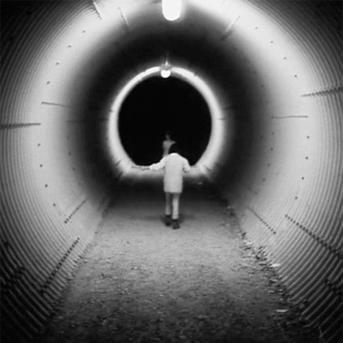 the album cover for Mary Lattimore / Zeigler,Jeff - Music Inspired by Philippe Garrel's Le Revelateur