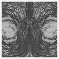 the album cover for Necro Deathmort - Capsule