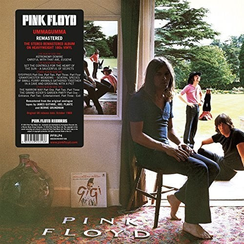 the album cover for Pink Floyd - Ummagumma