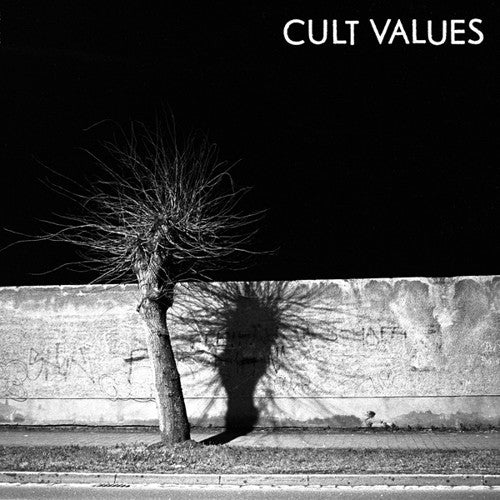 the album cover for Cult Values - Cult Values
