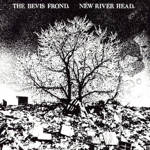 the album cover for The Bevis Frond - New River Head [Download Included]