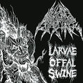 the album cover for Abhomine - Larvae Offal Swarm