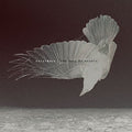 the album cover for Katatonia - The Fall Of Hearts [Deluxe]