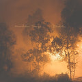 the album cover for Mandolin Orange - Blindfaller