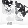 the album cover for Aria Rostami / Blomquist,Daniel - Wandering Eye
