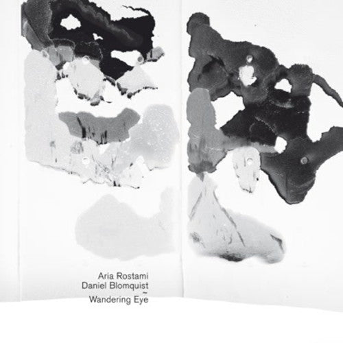 the album cover for Aria Rostami / Blomquist,Daniel - Wandering Eye