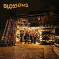 the album cover for Blossoms - Blossoms