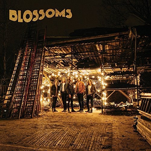 the album cover for Blossoms - Blossoms