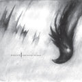 the album cover for Agalloch - Ashes Against The Grain