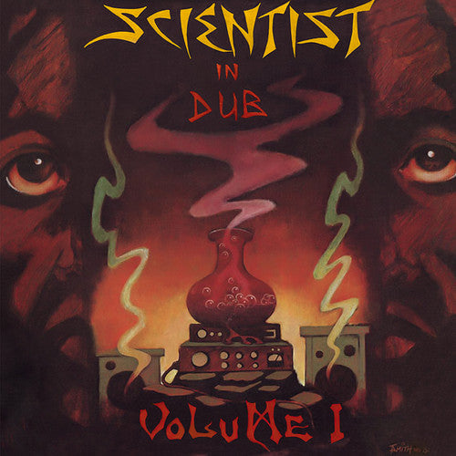 the album cover for Dub Mir - In Dub 1
