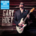 the album cover for Gary Hoey - Dust & Bones [Vinyl]