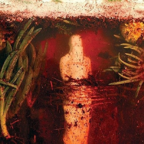 the album cover for Wreck and Reference - Indifferent Rivers Romance End