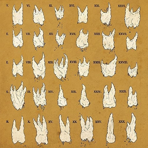 the album cover for Yeesh - Confirmation Bias [Colored Vinyl] [Download Included]